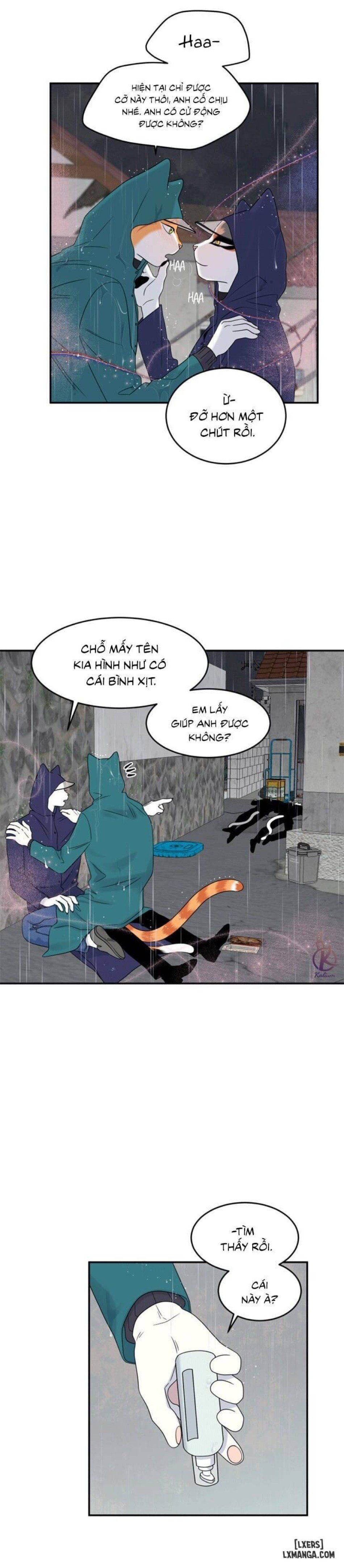 đọc truyện Dự Án Xanh Chương 26 ảnh 7 tại Thiên Thai Truyện