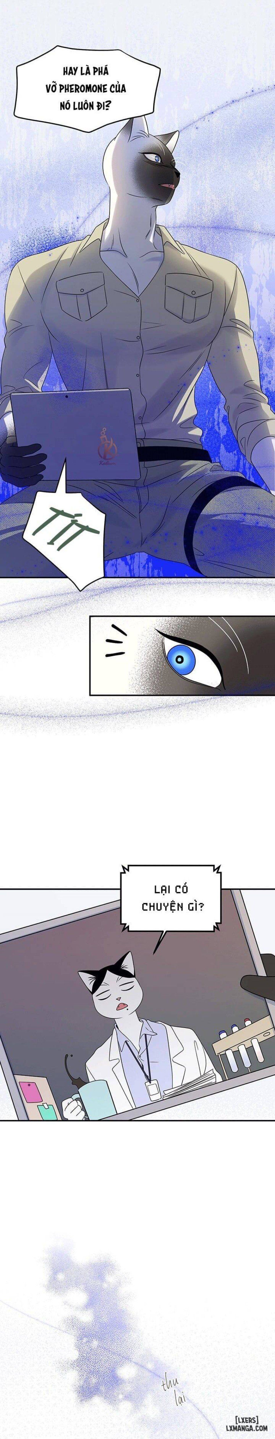 đọc truyện Dự Án Xanh Chương 27 ảnh 21 tại Thiên Thai Truyện