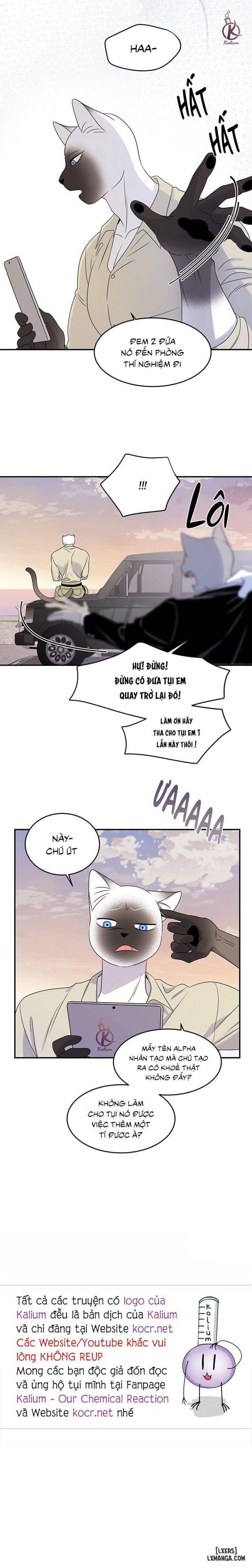 đọc truyện Dự Án Xanh Chương 27 ảnh 22 tại Thiên Thai Truyện