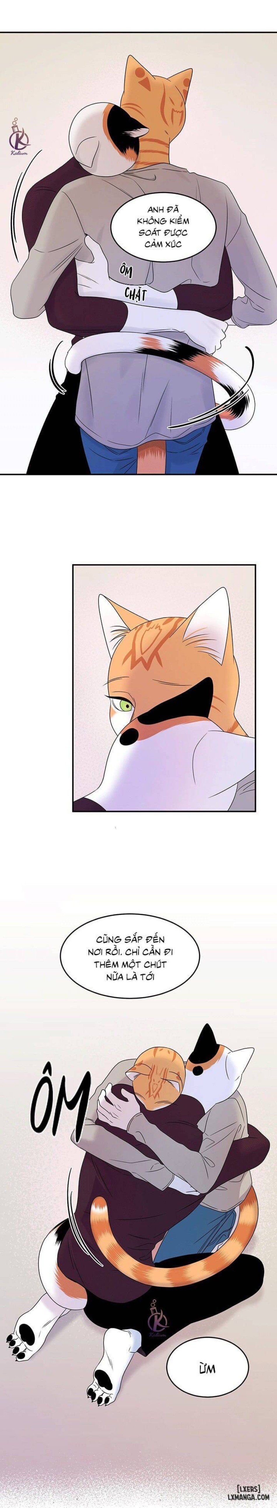 đọc truyện Dự Án Xanh Chương 27 ảnh 5 tại Thiên Thai Truyện