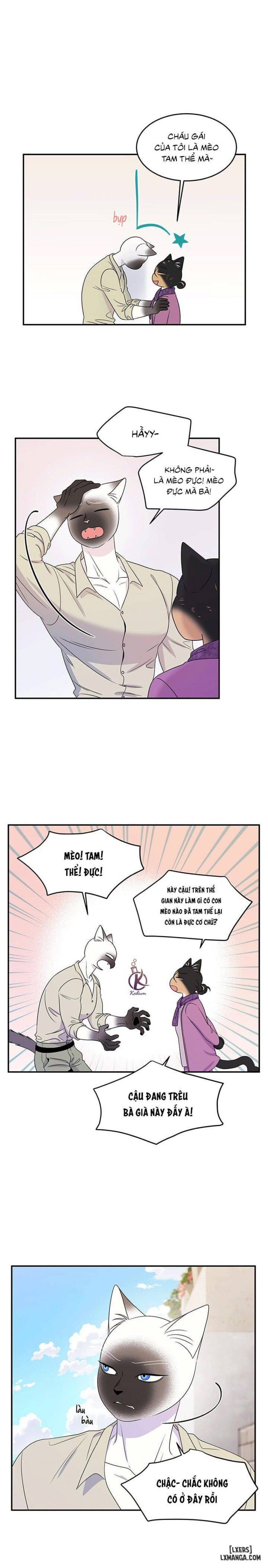 đọc truyện Dự Án Xanh Chương 27 ảnh 11 tại Thiên Thai Truyện