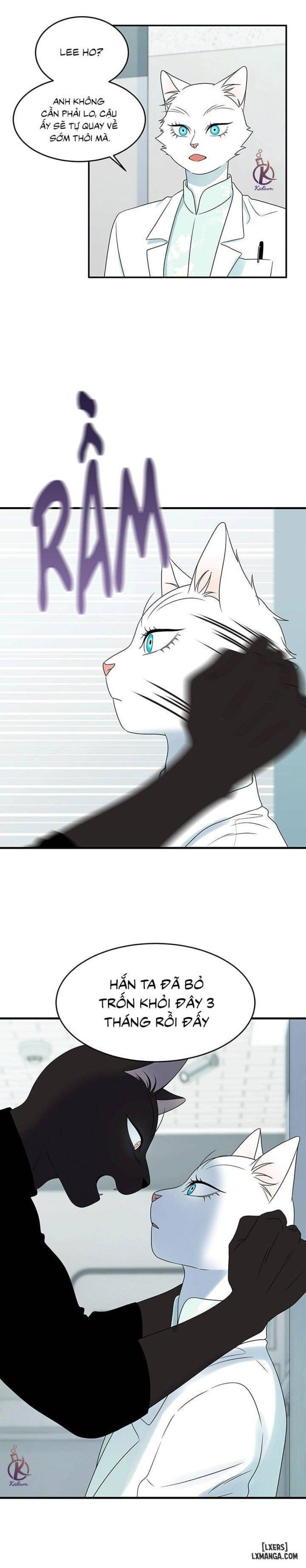 đọc truyện Dự Án Xanh Chương 28 ảnh 12 tại Thiên Thai Truyện