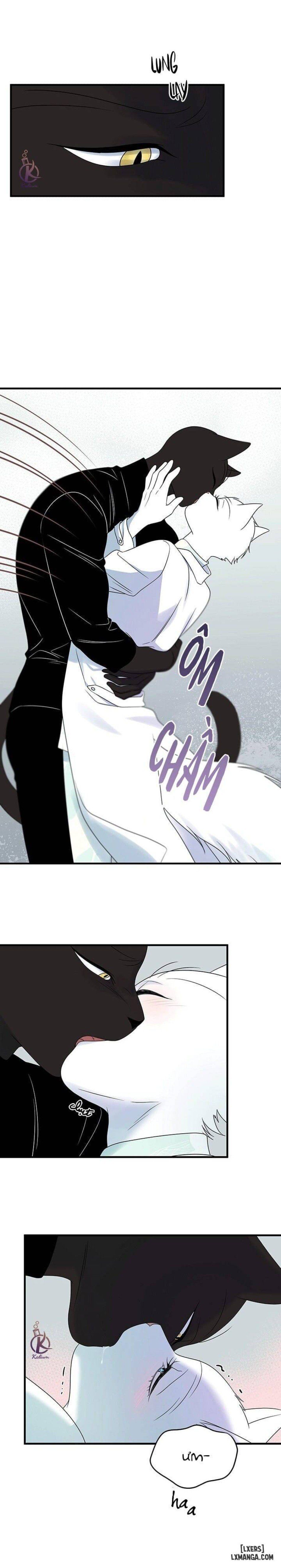 đọc truyện Dự Án Xanh Chương 28 ảnh 14 tại Thiên Thai Truyện