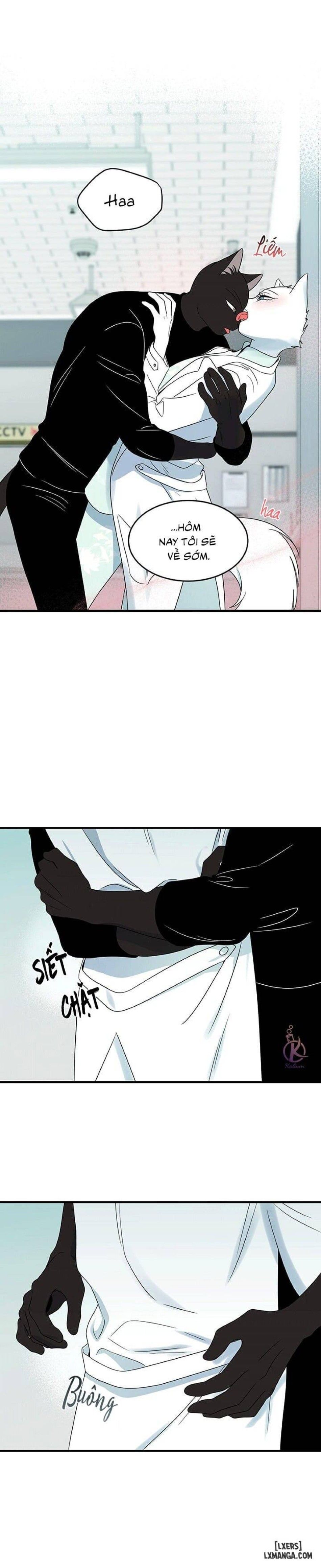 đọc truyện Dự Án Xanh Chương 28 ảnh 15 tại Thiên Thai Truyện