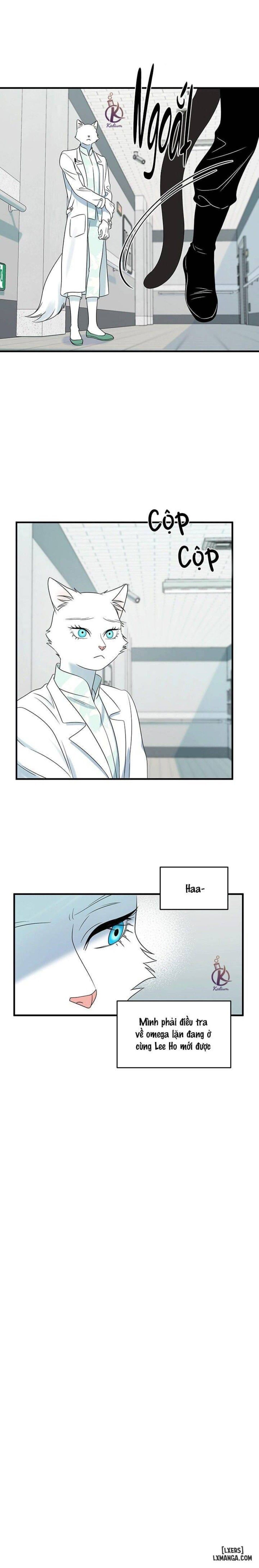 đọc truyện Dự Án Xanh Chương 28 ảnh 16 tại Thiên Thai Truyện