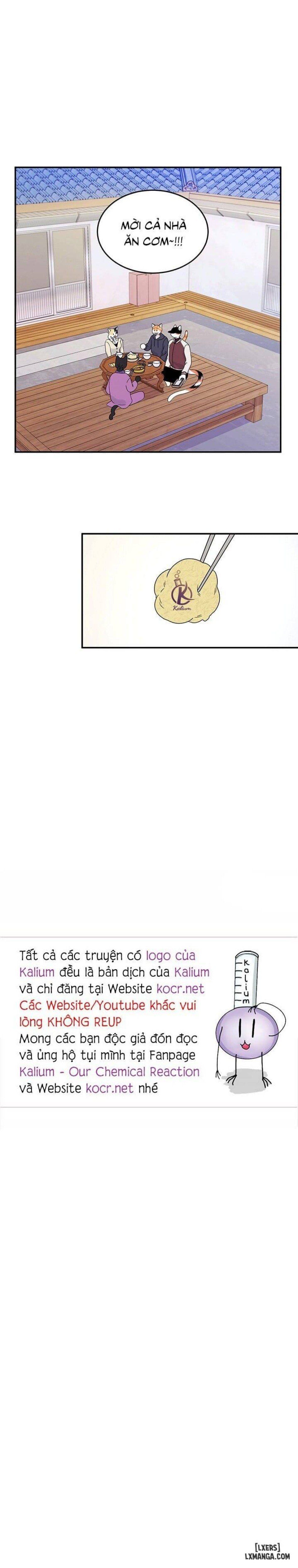 đọc truyện Dự Án Xanh Chương 28 ảnh 19 tại Thiên Thai Truyện