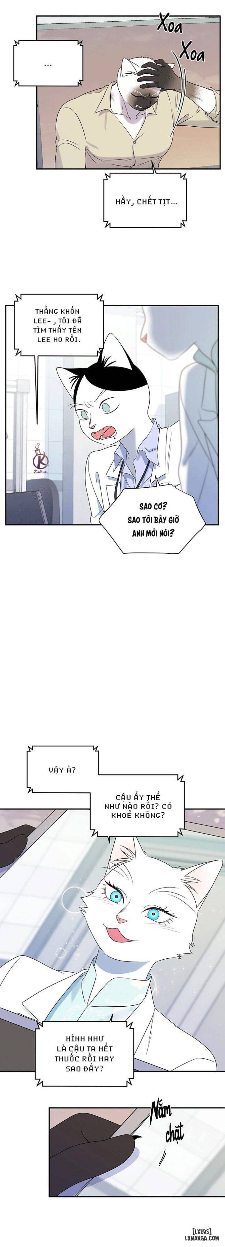 đọc truyện Dự Án Xanh Chương 28 ảnh 6 tại Thiên Thai Truyện