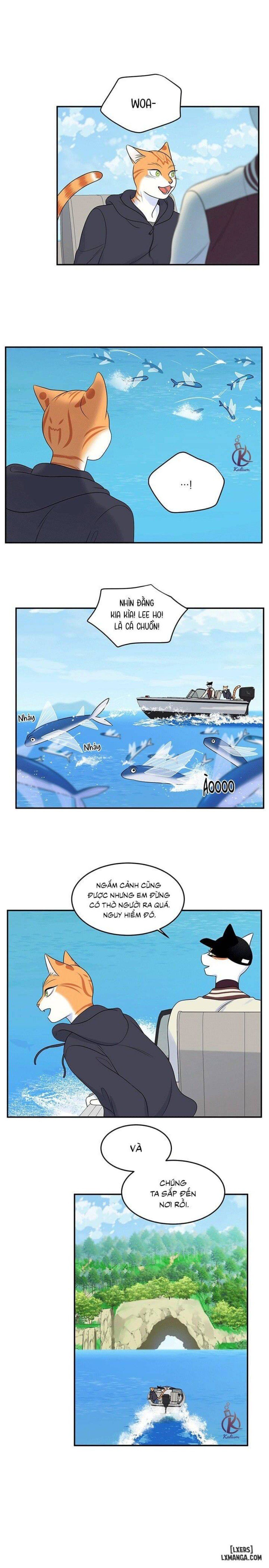 đọc truyện Dự Án Xanh Chương 29 ảnh 14 tại Thiên Thai Truyện