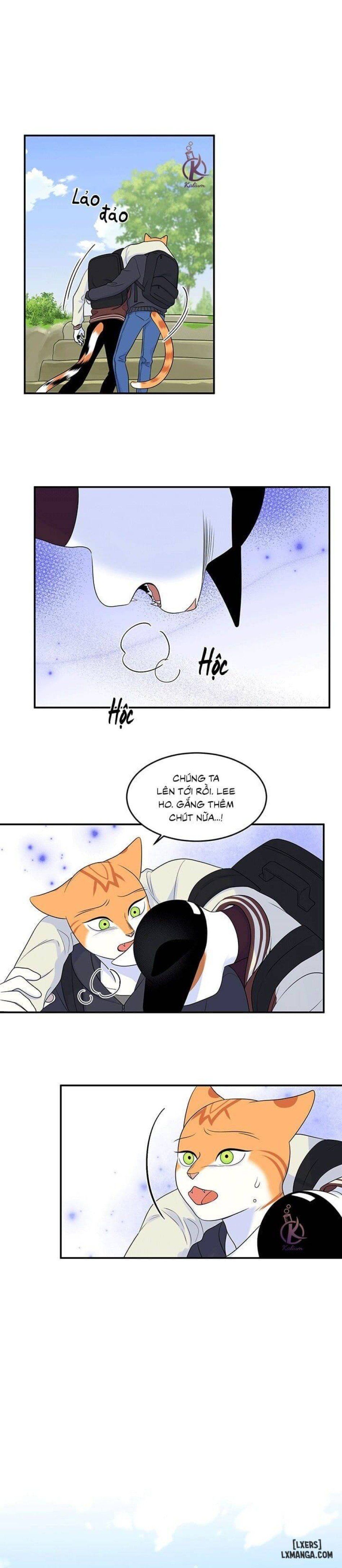 đọc truyện Dự Án Xanh Chương 29 ảnh 17 tại Thiên Thai Truyện