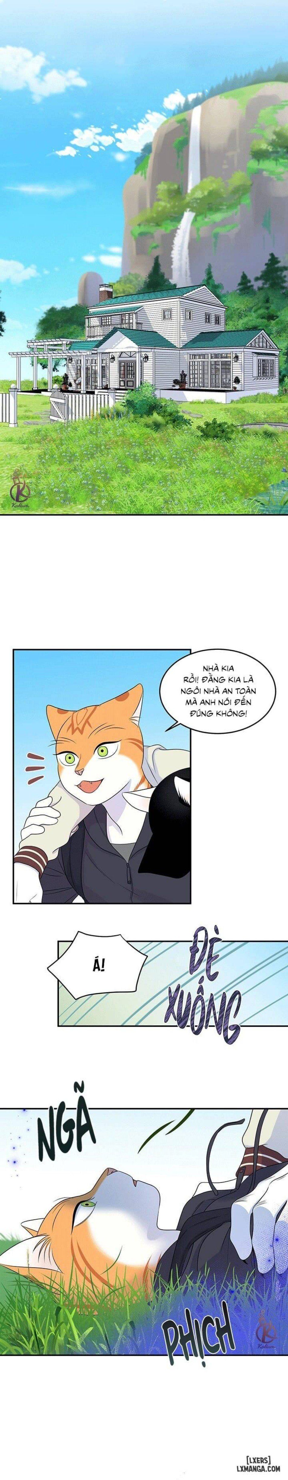 đọc truyện Dự Án Xanh Chương 29 ảnh 18 tại Thiên Thai Truyện