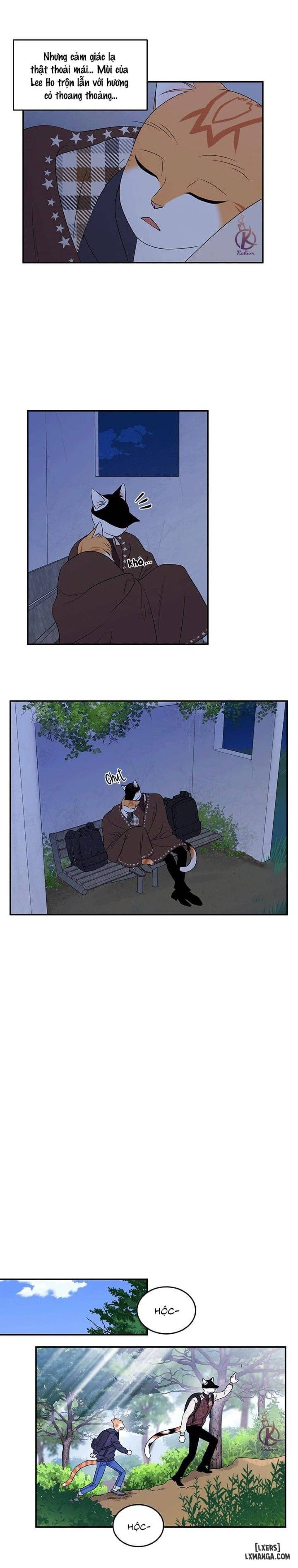 đọc truyện Dự Án Xanh Chương 29 ảnh 10 tại Thiên Thai Truyện