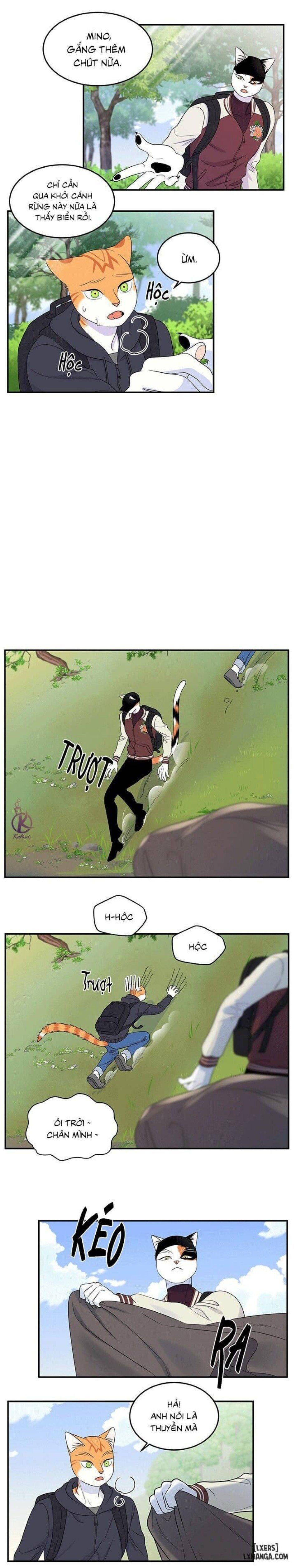 đọc truyện Dự Án Xanh Chương 29 ảnh 11 tại Thiên Thai Truyện