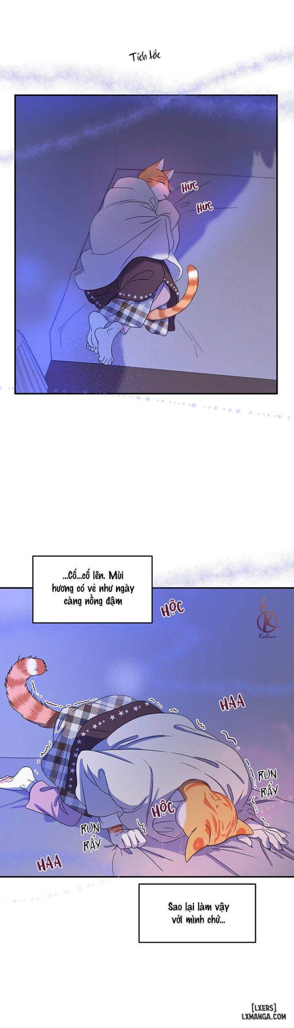 đọc truyện Dự Án Xanh Chương 3 ảnh 17 tại Thiên Thai Truyện