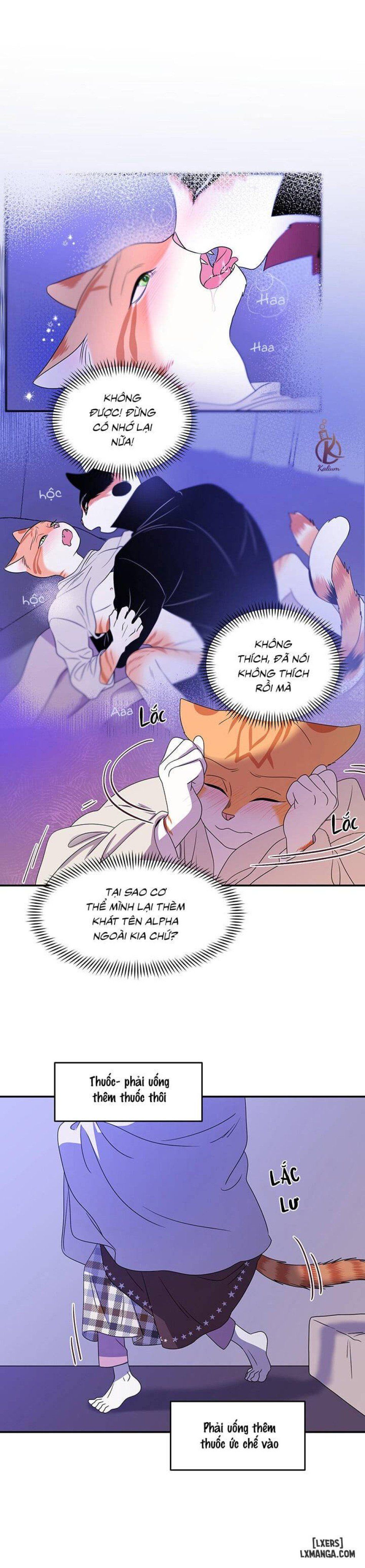 đọc truyện Dự Án Xanh Chương 3 ảnh 19 tại Thiên Thai Truyện