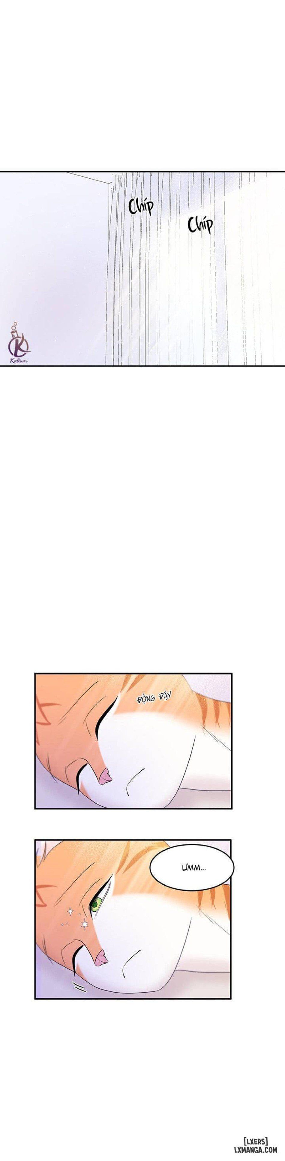 đọc truyện Dự Án Xanh Chương 3 ảnh 26 tại Thiên Thai Truyện