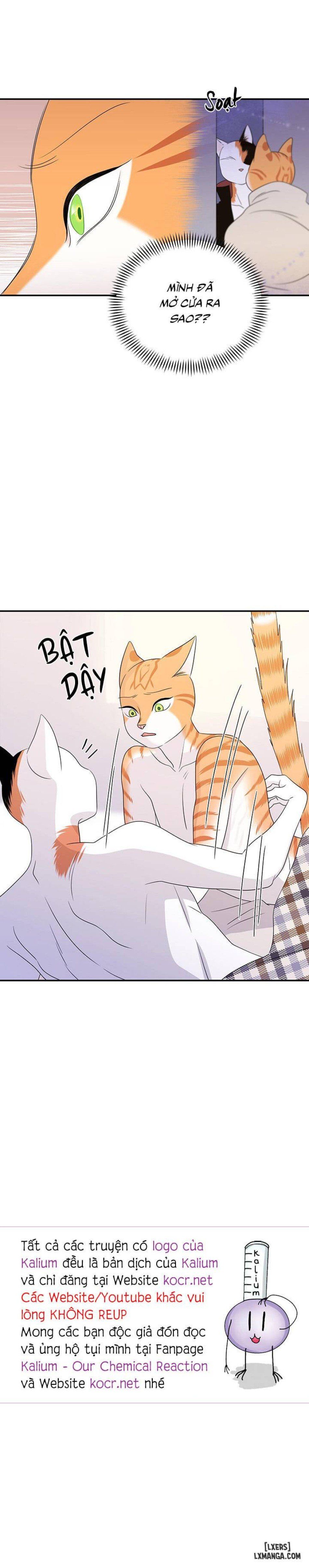 đọc truyện Dự Án Xanh Chương 3 ảnh 28 tại Thiên Thai Truyện