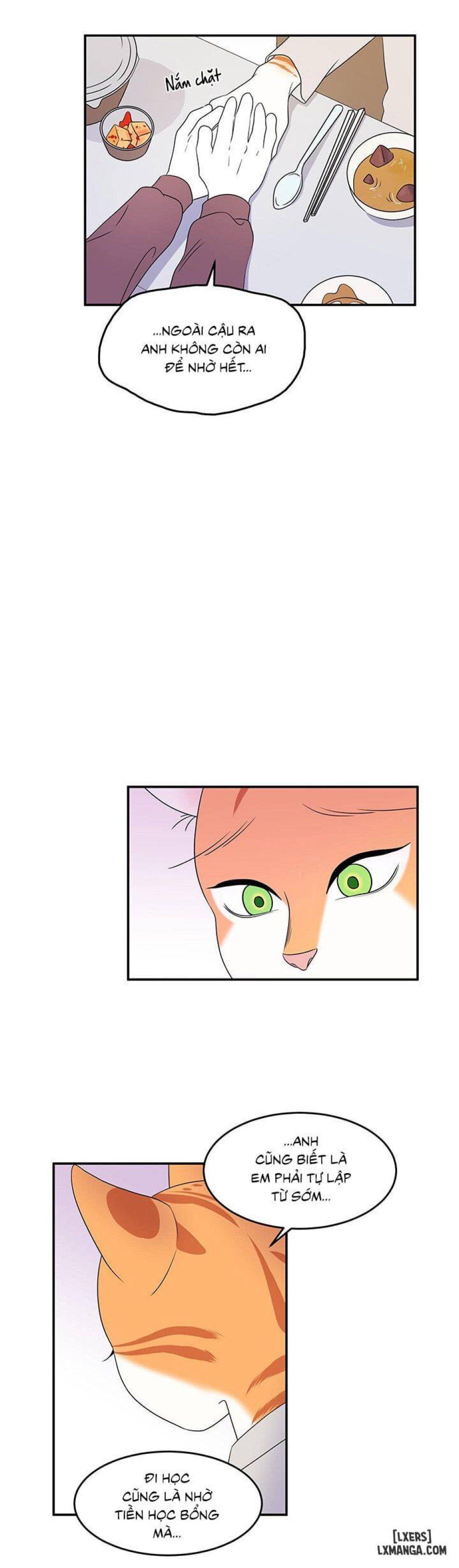 đọc truyện Dự Án Xanh Chương 3 ảnh 7 tại Thiên Thai Truyện