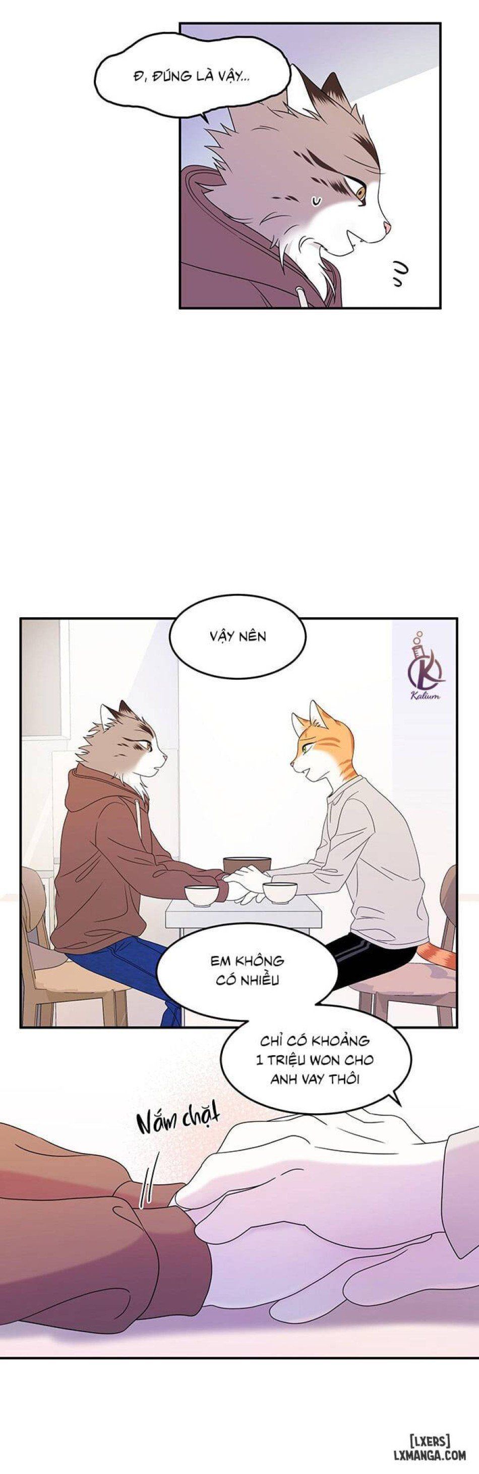 đọc truyện Dự Án Xanh Chương 3 ảnh 8 tại Thiên Thai Truyện