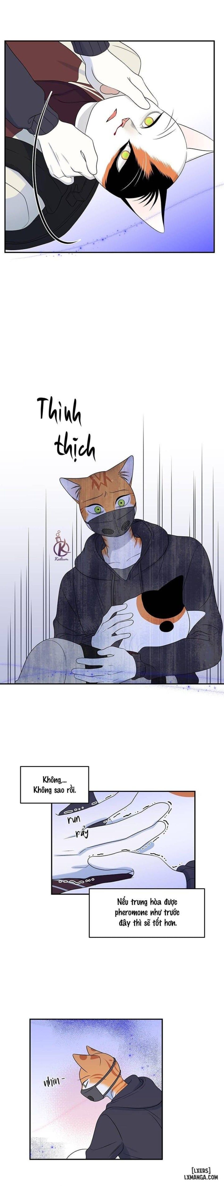 đọc truyện Dự Án Xanh Chương 30 ảnh 15 tại Thiên Thai Truyện