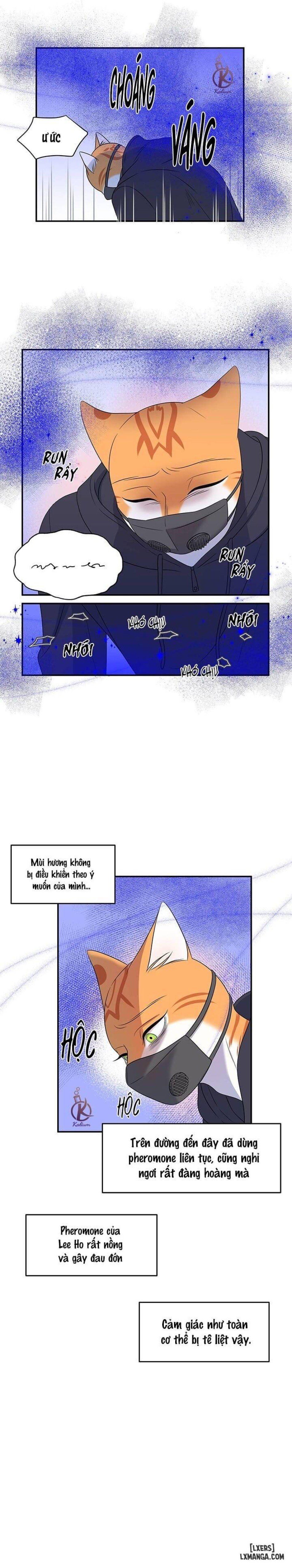 đọc truyện Dự Án Xanh Chương 30 ảnh 16 tại Thiên Thai Truyện