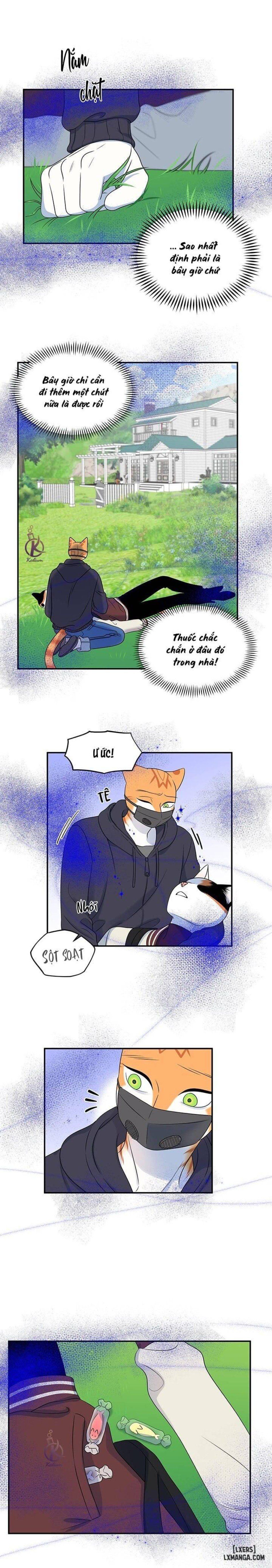 đọc truyện Dự Án Xanh Chương 30 ảnh 17 tại Thiên Thai Truyện