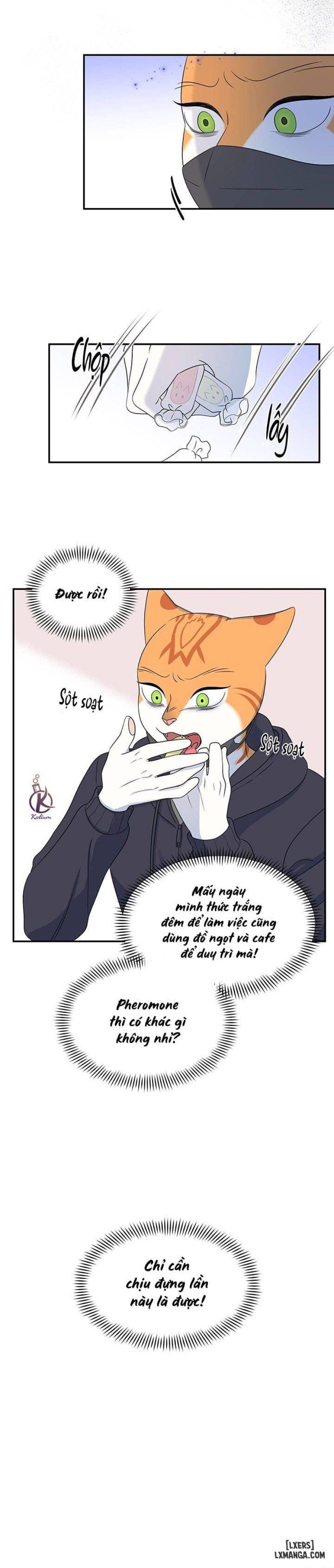 đọc truyện Dự Án Xanh Chương 30 ảnh 18 tại Thiên Thai Truyện