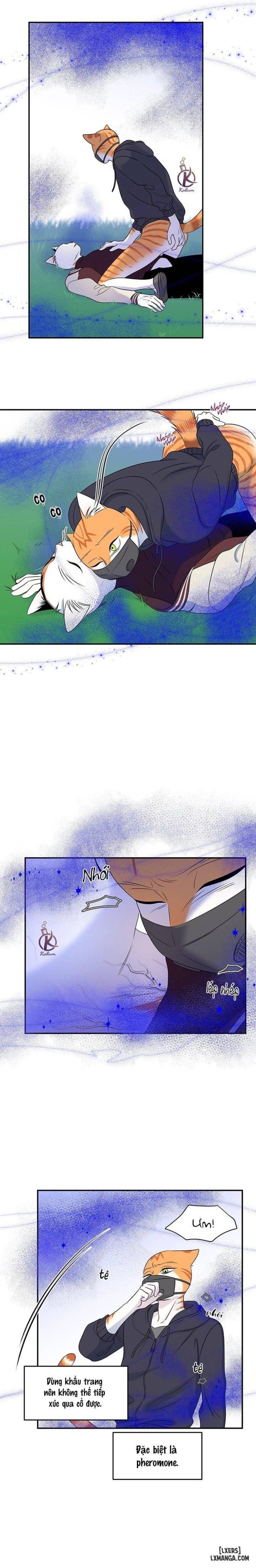 đọc truyện Dự Án Xanh Chương 30 ảnh 19 tại Thiên Thai Truyện