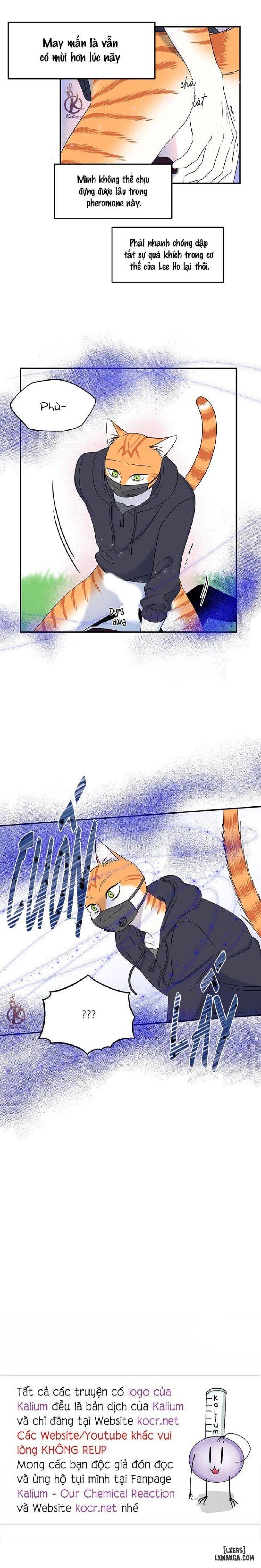 đọc truyện Dự Án Xanh Chương 30 ảnh 20 tại Thiên Thai Truyện