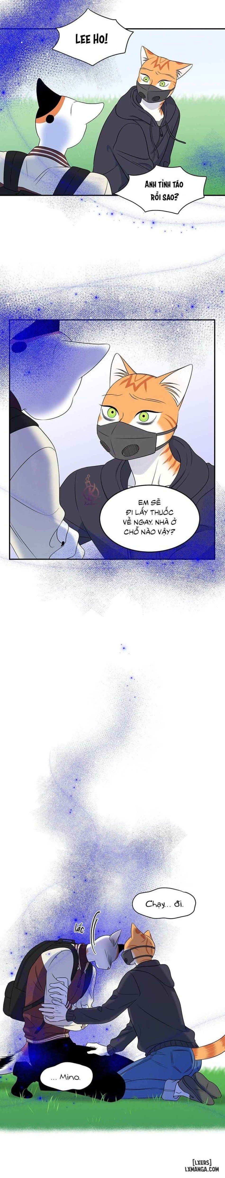 đọc truyện Dự Án Xanh Chương 30 ảnh 11 tại Thiên Thai Truyện