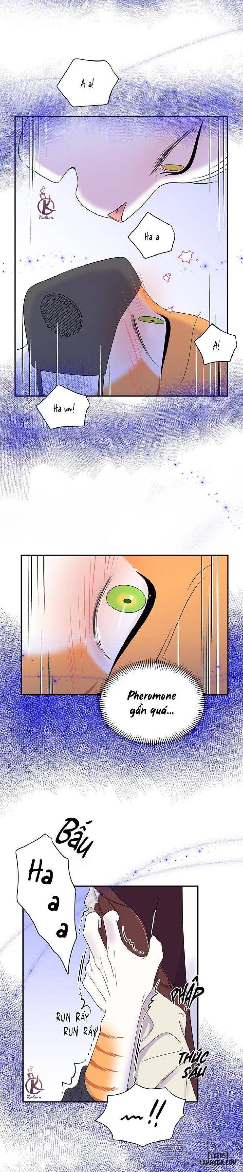 đọc truyện Dự Án Xanh Chương 31 ảnh 12 tại Thiên Thai Truyện