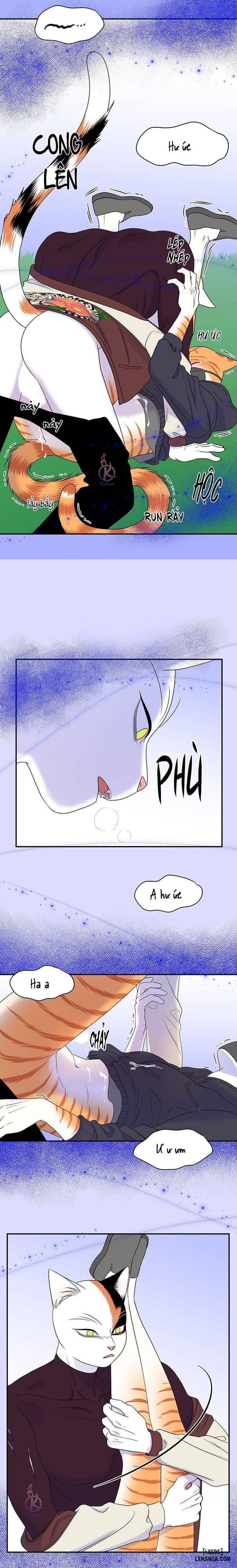 đọc truyện Dự Án Xanh Chương 31 ảnh 14 tại Thiên Thai Truyện