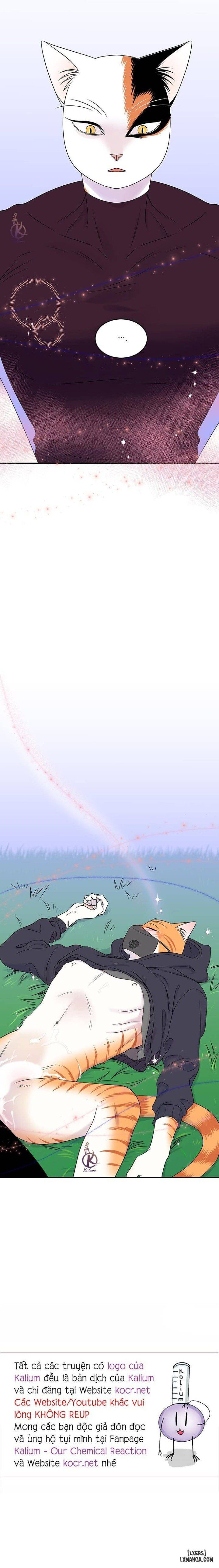 đọc truyện Dự Án Xanh Chương 31 ảnh 20 tại Thiên Thai Truyện