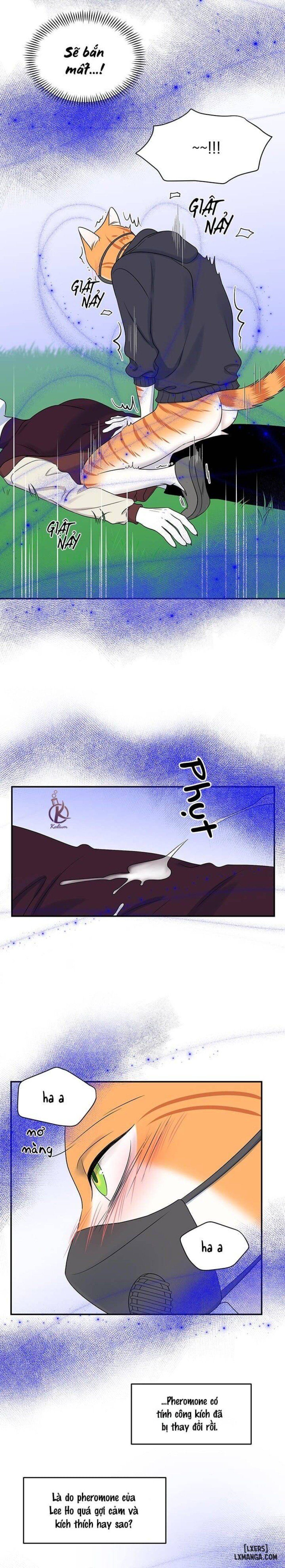 đọc truyện Dự Án Xanh Chương 31 ảnh 4 tại Thiên Thai Truyện