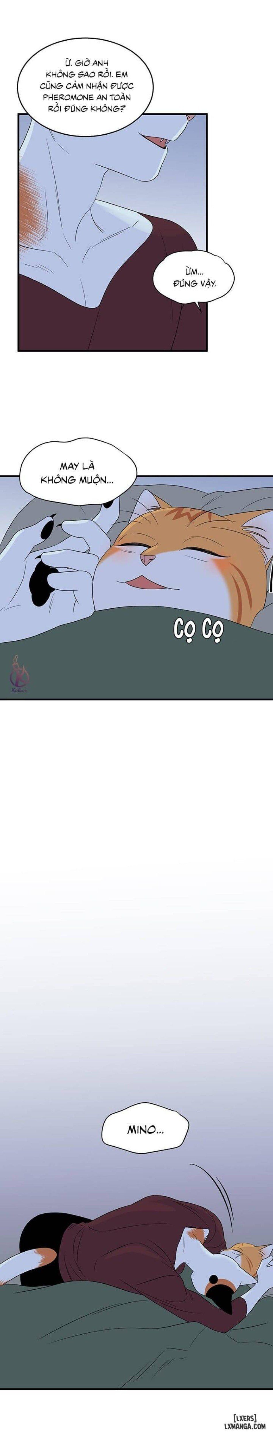 đọc truyện Dự Án Xanh Chương 32 ảnh 15 tại Thiên Thai Truyện