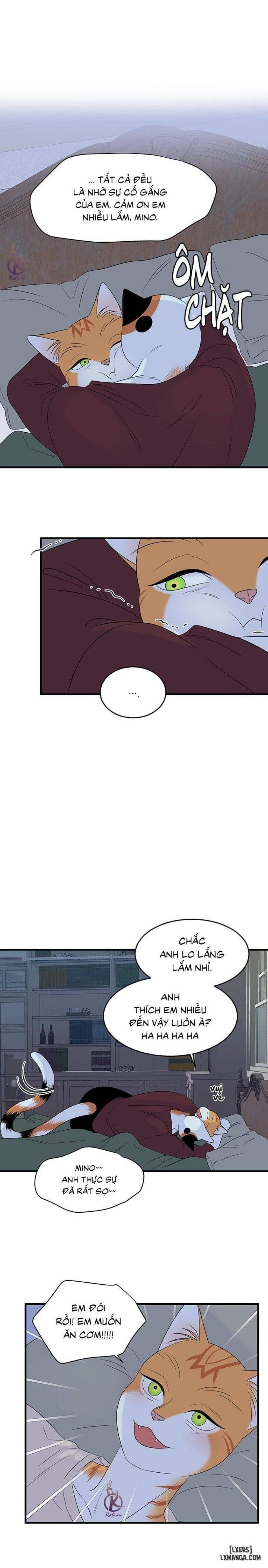 đọc truyện Dự Án Xanh Chương 32 ảnh 16 tại Thiên Thai Truyện