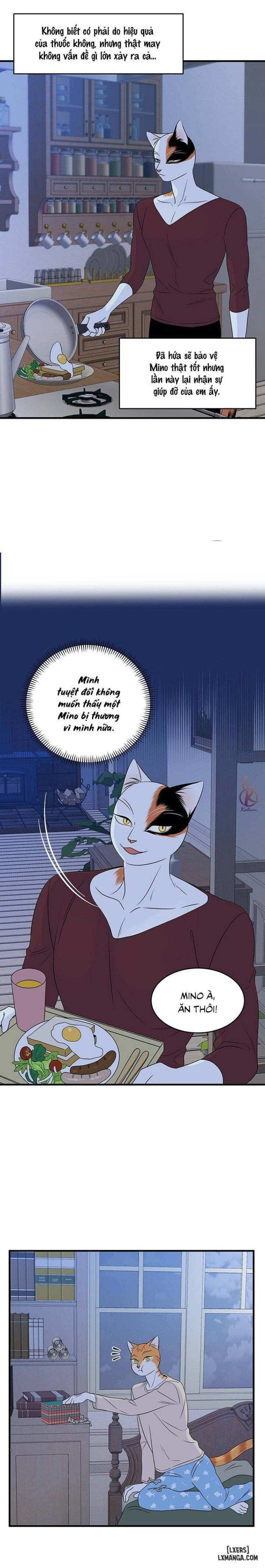 đọc truyện Dự Án Xanh Chương 32 ảnh 19 tại Thiên Thai Truyện