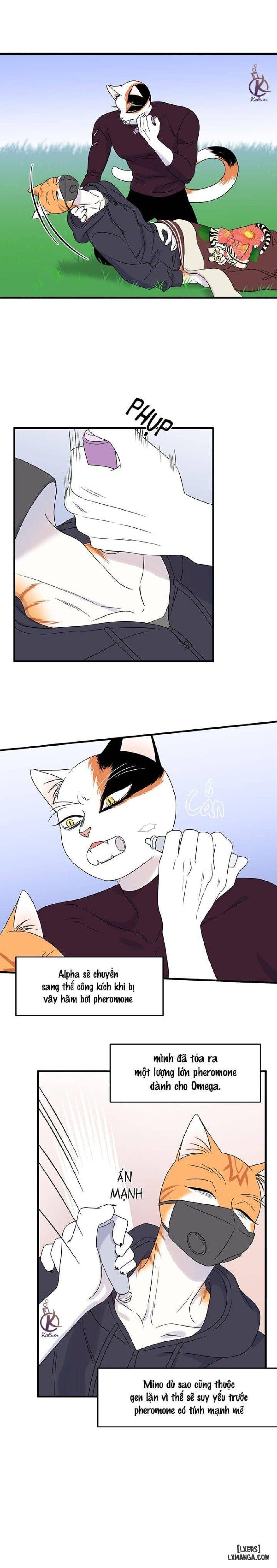 đọc truyện Dự Án Xanh Chương 32 ảnh 4 tại Thiên Thai Truyện