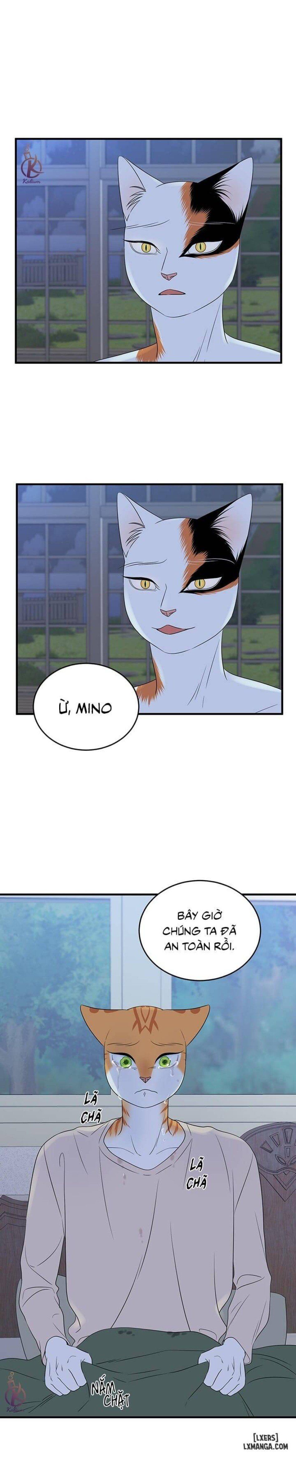 đọc truyện Dự Án Xanh Chương 32 ảnh 22 tại Thiên Thai Truyện