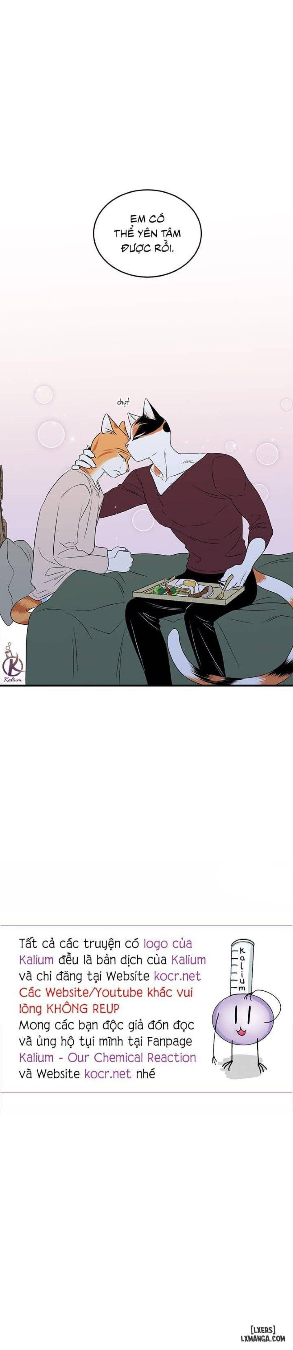 đọc truyện Dự Án Xanh Chương 32 ảnh 23 tại Thiên Thai Truyện