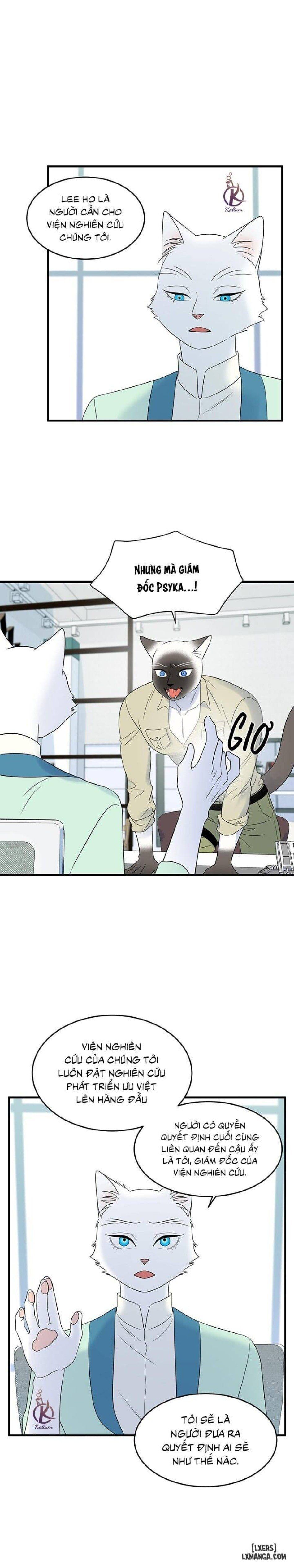 đọc truyện Dự Án Xanh Chương 32 ảnh 9 tại Thiên Thai Truyện