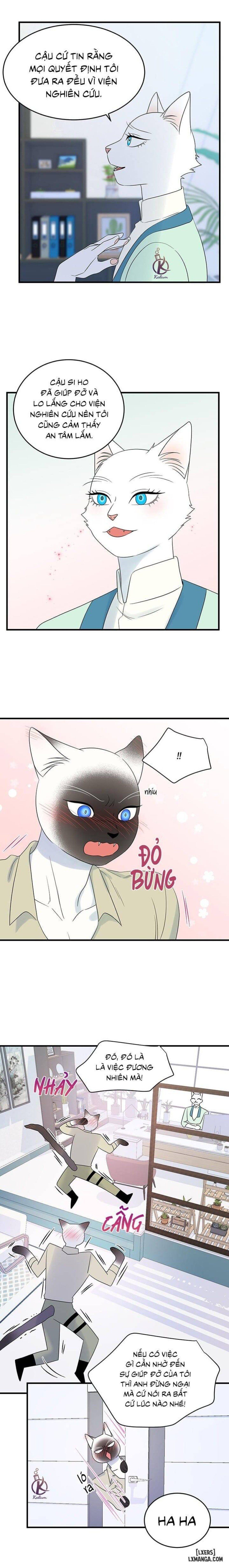 đọc truyện Dự Án Xanh Chương 32 ảnh 11 tại Thiên Thai Truyện