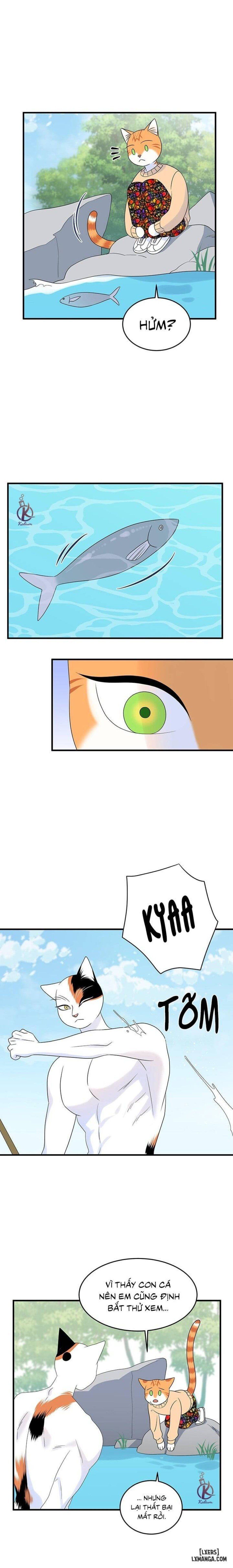 đọc truyện Dự Án Xanh Chương 33 ảnh 16 tại Thiên Thai Truyện