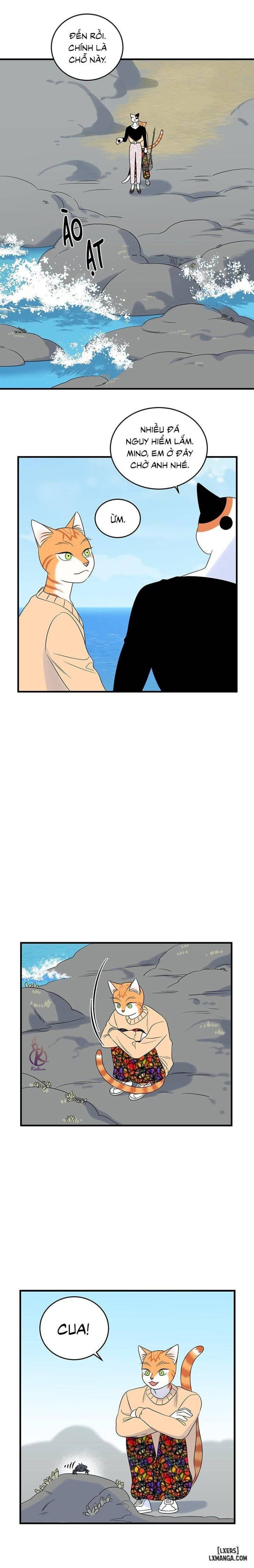 đọc truyện Dự Án Xanh Chương 33 ảnh 10 tại Thiên Thai Truyện