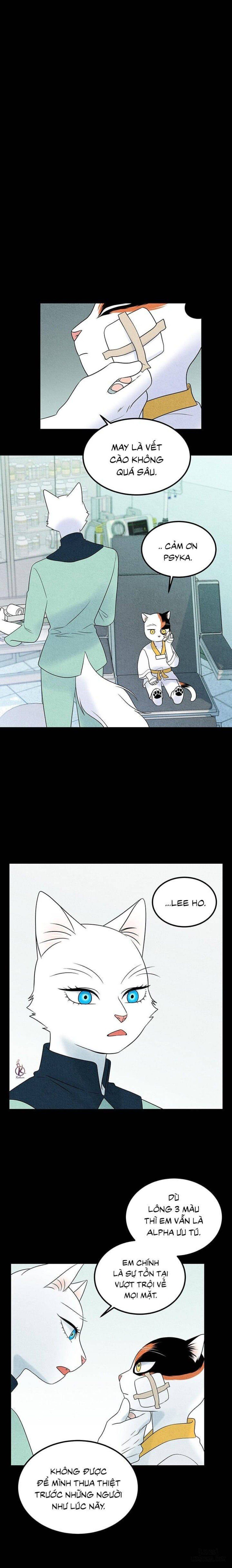 đọc truyện Dự Án Xanh Chương 34 ảnh 13 tại Thiên Thai Truyện