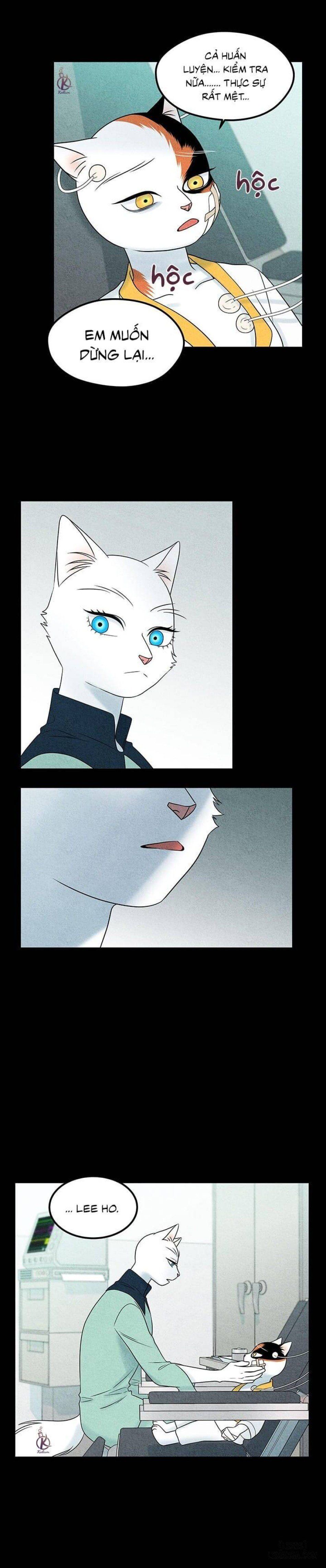 đọc truyện Dự Án Xanh Chương 34 ảnh 16 tại Thiên Thai Truyện