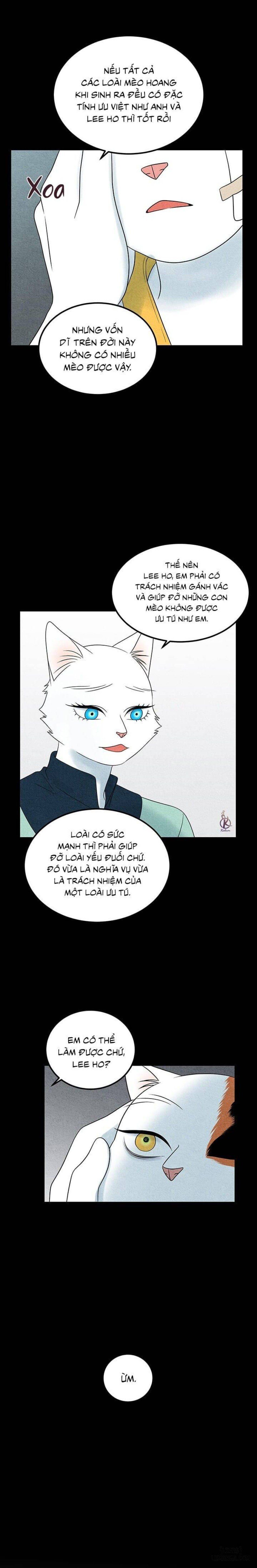 đọc truyện Dự Án Xanh Chương 34 ảnh 17 tại Thiên Thai Truyện