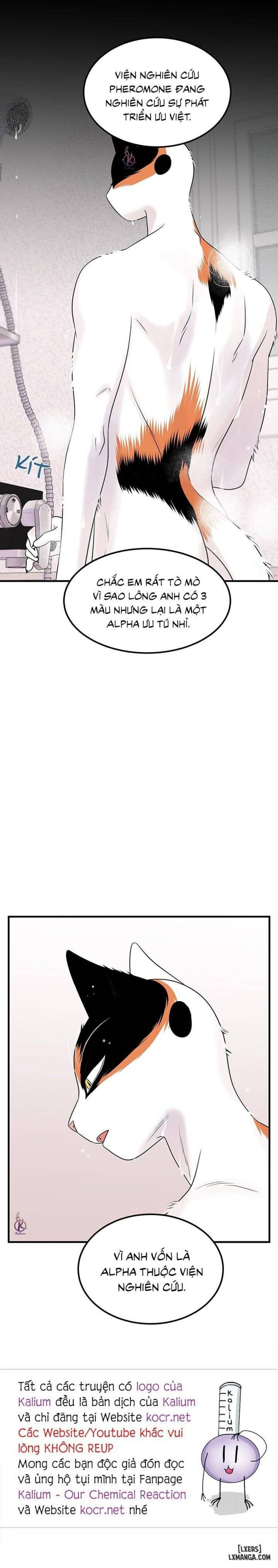 đọc truyện Dự Án Xanh Chương 34 ảnh 18 tại Thiên Thai Truyện