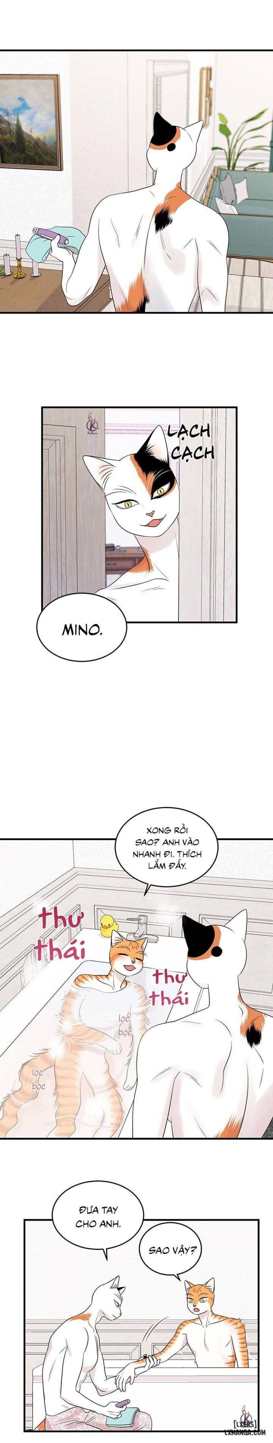 đọc truyện Dự Án Xanh Chương 34 ảnh 5 tại Thiên Thai Truyện