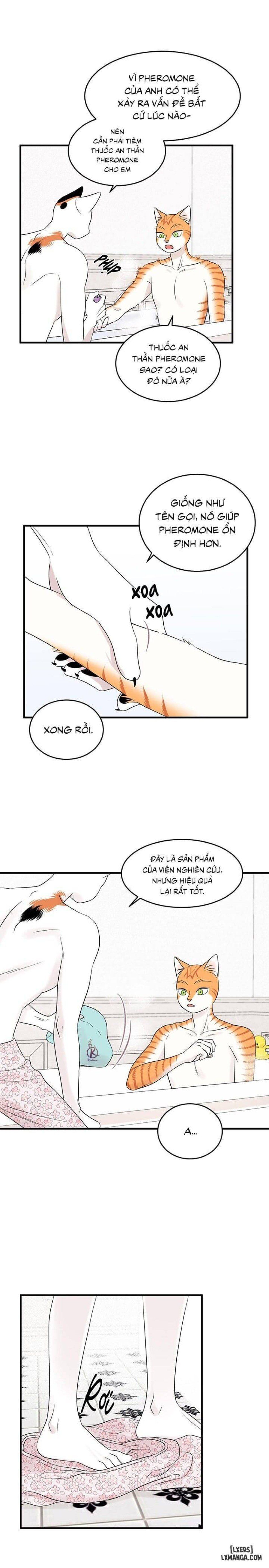 đọc truyện Dự Án Xanh Chương 34 ảnh 6 tại Thiên Thai Truyện