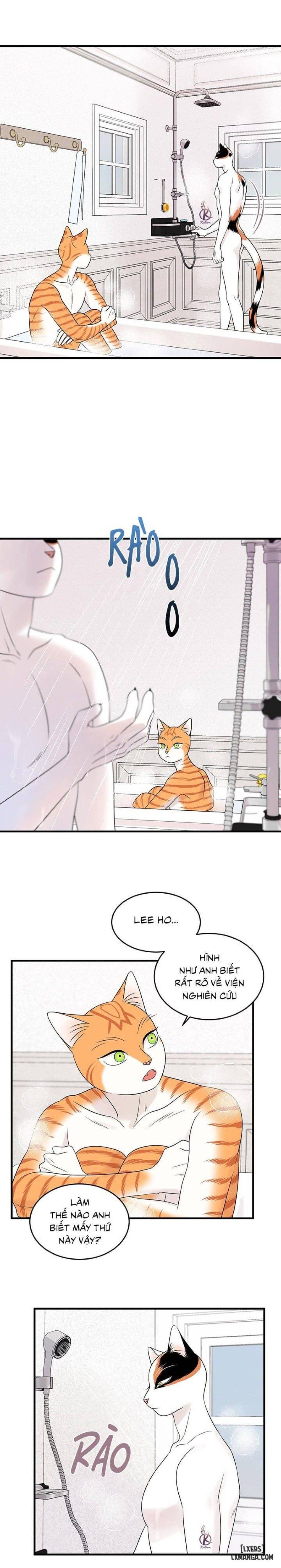 đọc truyện Dự Án Xanh Chương 34 ảnh 7 tại Thiên Thai Truyện